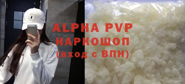 стафф Карпинск