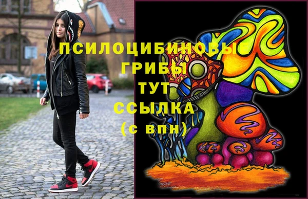 МДПВ Кинешма