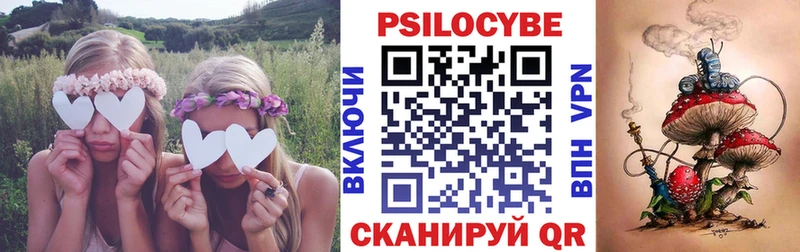 Псилоцибиновые грибы ЛСД  где продают наркотики  kraken ССЫЛКА  Ейск 