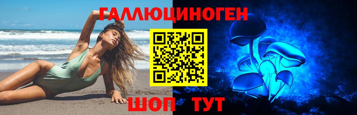 Ейск  Галлюциногенные грибы Psilocybine cubensis  Вход с VPN 